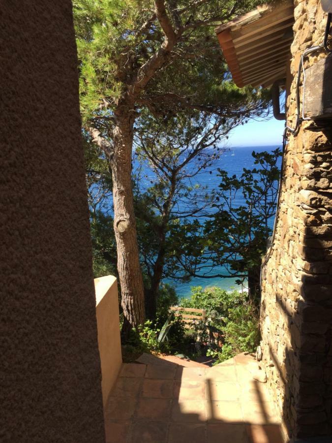Le Baou " Les Pieds Dans L'Eau " Appartement Carqueiranne Buitenkant foto